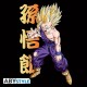 T-shirt Dragon Ball Z Gohan