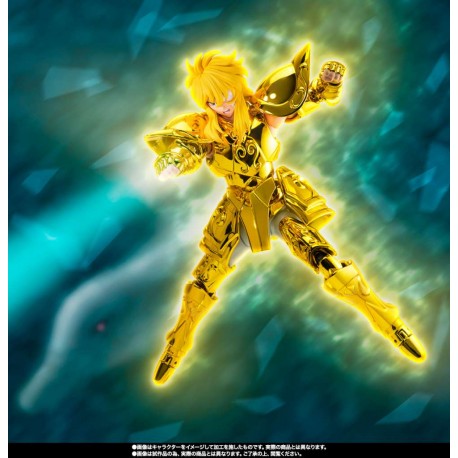 Myth Cloth Ex Aquarius Hyoga Inheritor Of The Gold Cloth