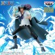 One Piece Kuzan Battle record Collection